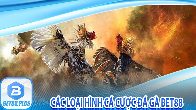 Các loại hình cá cược đá gà Bet88