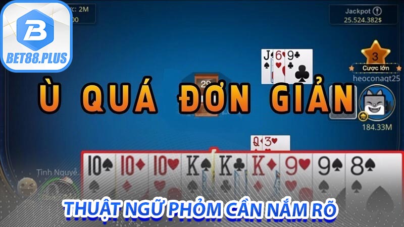 Thuật ngữ phỏm cần nắm rõ