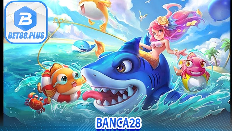 Banca28