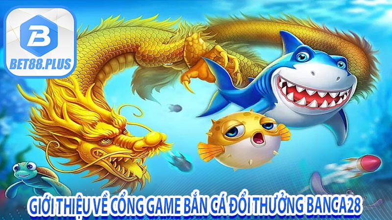 Giới thiệu về cổng game bắn cá đổi thưởng Banca28