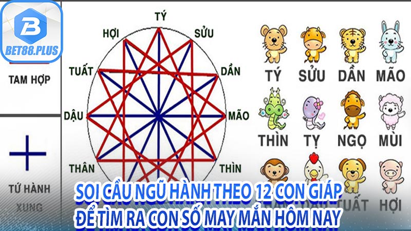 Soi cầu ngũ hành theo 12 con giáp để tìm ra con số may mắn hôm nay 